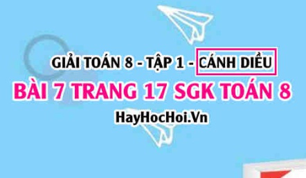 Giải bài 7 trang 17 Toán 8 Tập 1 SGK Cánh Diều